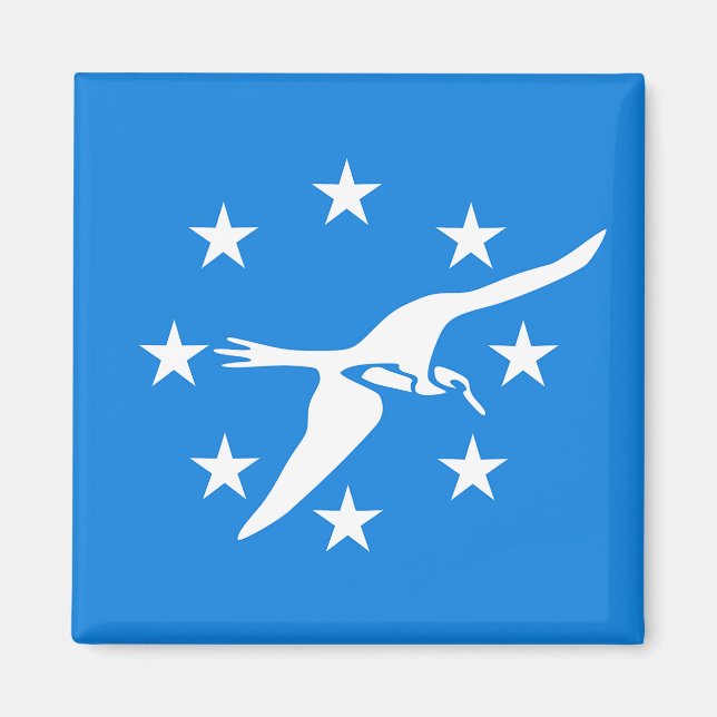 Aimant avec Drapeau de Corpus Christi, Texas, USA (Devant)