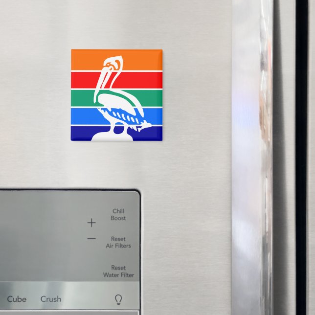 Aimant avec Drapeau de Saint-Pétersbourg, Floride (In situ (réfrigérateur))