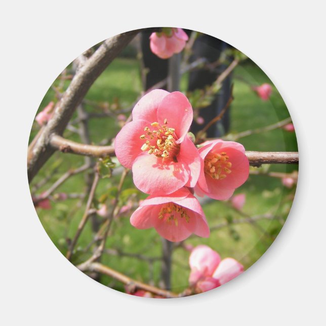 Aimant avec fleur (Devant)