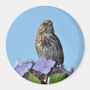 aimant avec impression d'un petit oiseau chanteur