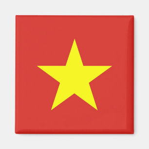 Aimant avec le drapeau du Vietnam