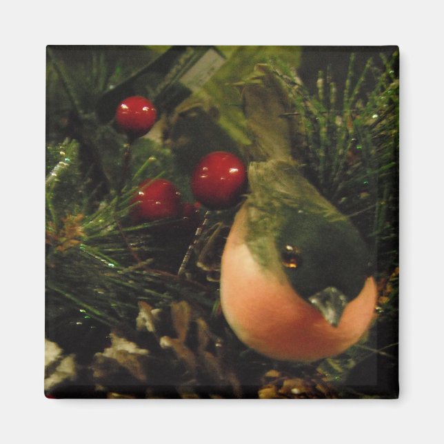 Aimant Avec Oiseau (Devant)