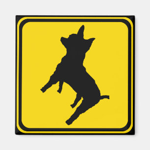 Aimant Avertissement - Chihuahua Xing !