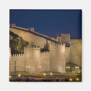 Aimant Avila, Castille-et-León, Espagne