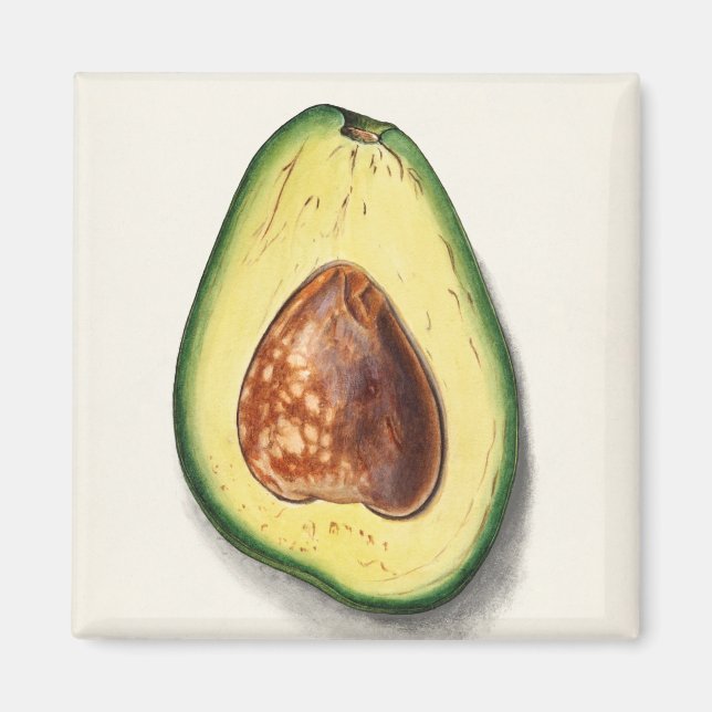 Aimant Avocado (Devant)