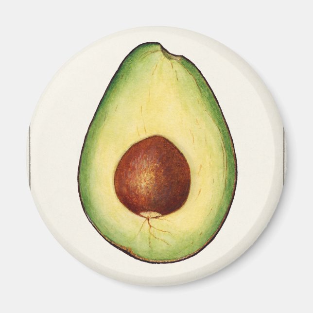 Aimant Avocado (Devant)