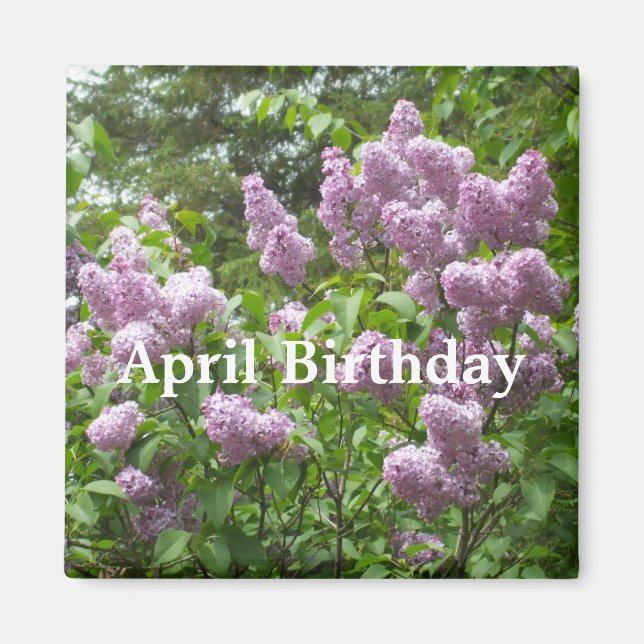 Aimant Avril Anniversaire Lovely Lilac Bush (Devant)