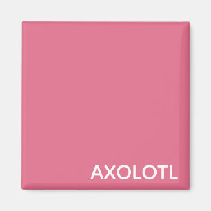 Aimant Axolotl pink color name
