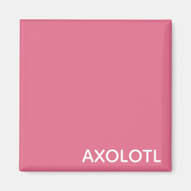 Aimant Axolotl pink color name (Devant)
