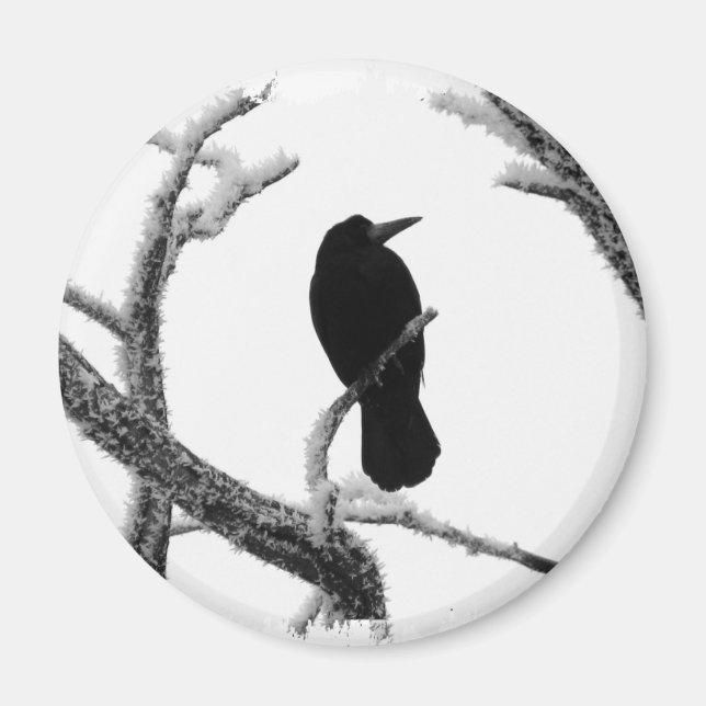 Aimant B&W Winter Raven Edgar Allan Poe (Devant)