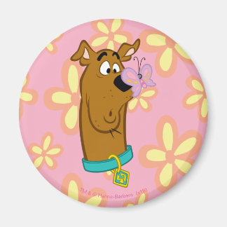 Aimant Babfly On Scooby Doo's Nose
