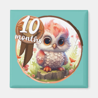 Aimant Baby - 10 months too