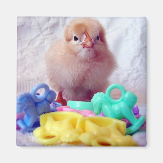 Aimant Baby Chick, Parfait Pour Le Baby shower (Devant)