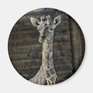 Aimant Baby Giraffe