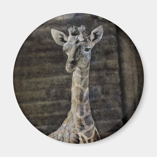 Aimant Baby Giraffe (Devant)