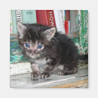 Aimant Baby Kitty