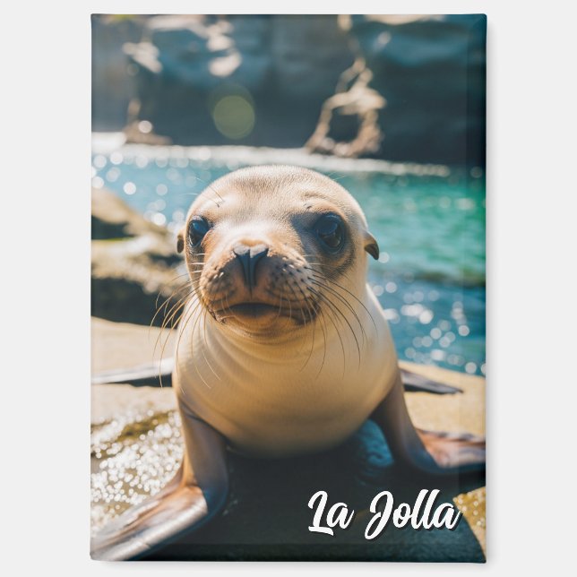 Aimant Baby Sea Lion La Jolla California Postcard (Recto)