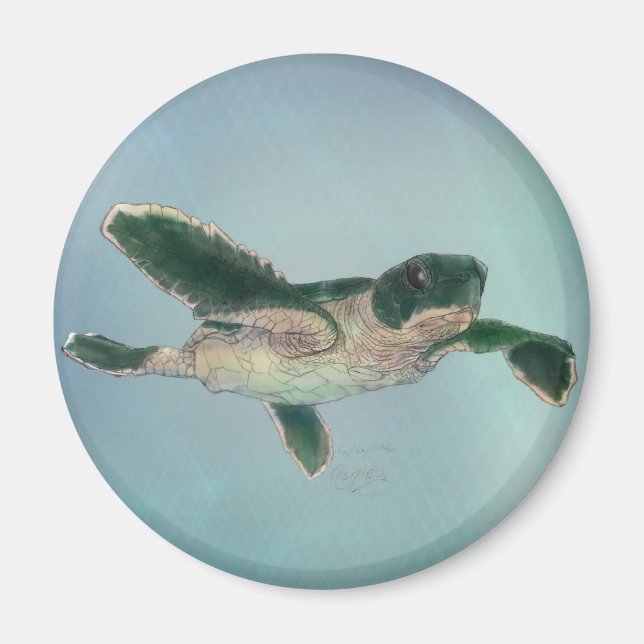 Aimant Baby sea Turtle (Devant)