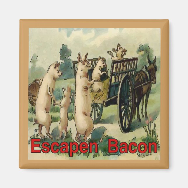 Aimant Bacon d'évasion, porcs (Devant)