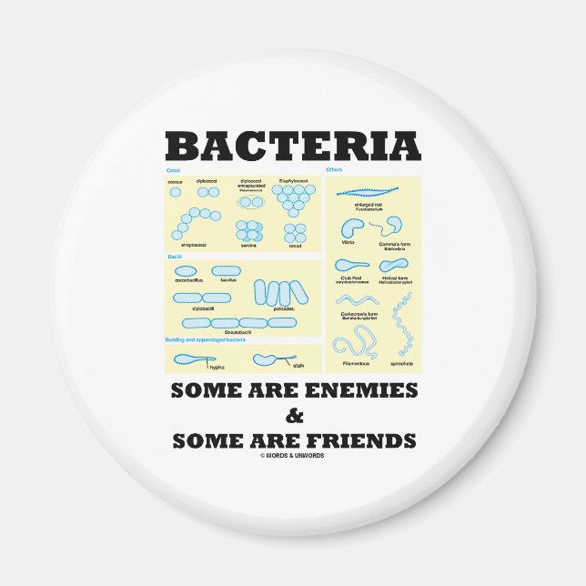 Aimant Bactéries Certains Sont Ennemis Et Certains Sont A (Devant)