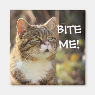 Aimant Badass Cats - "BITE ME !"