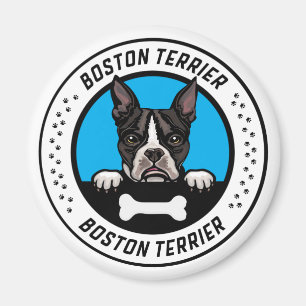 Aimant Badge d'illustration de Boston Terrier Peeking