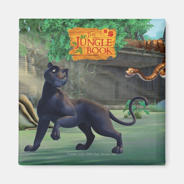 Aimant Bagheera 3 (Devant)