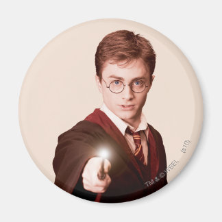 Aimant Baguette Harry Potter Points