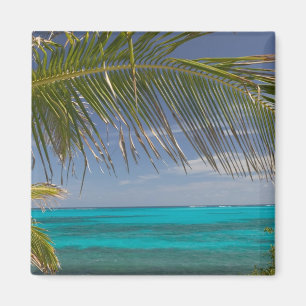 Aimant BAHAMAS, Abacos, Loyalist Cays, Man O War Cay :