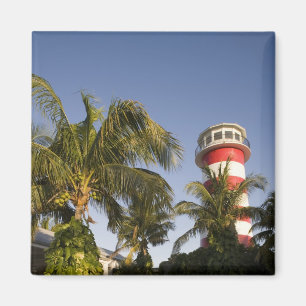 Aimant Bahamas, île de Grand Bahama, Freeport, Coucher