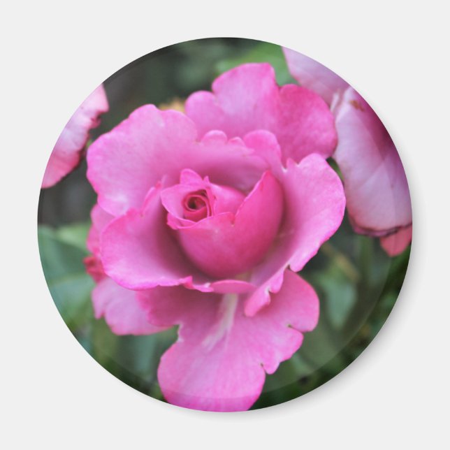 Aimant Baiser d'une Rose (Devant)