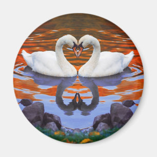 Aimant Baiser les cygnes dans l'amour, la forme du coeur
