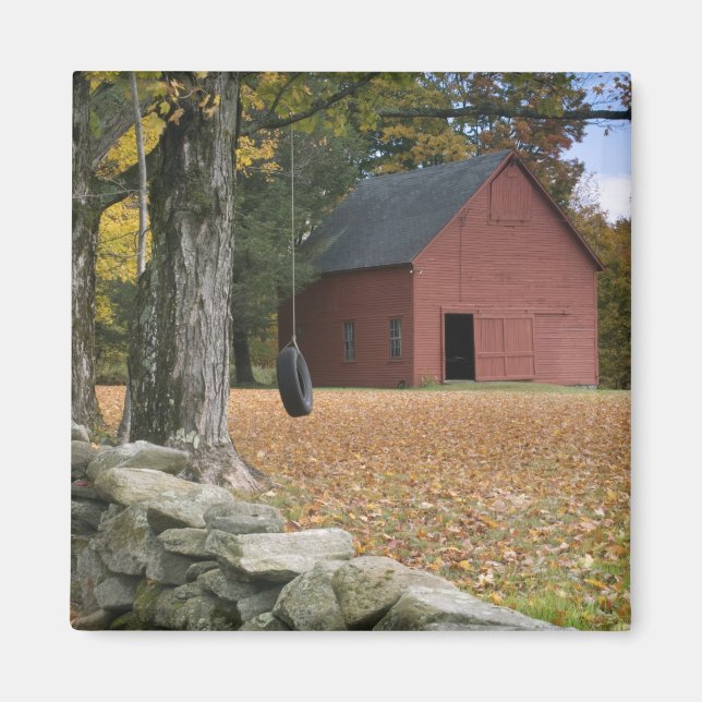 Aimant Balançoire en pneu le long d'une route dans le sud (Devant)