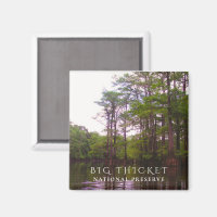 Bald Cypress marécage, Big Thicket National Preser