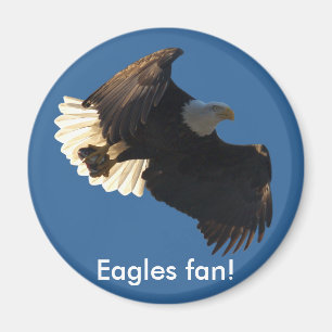 Aimant Bald Eagle Vol Collection II