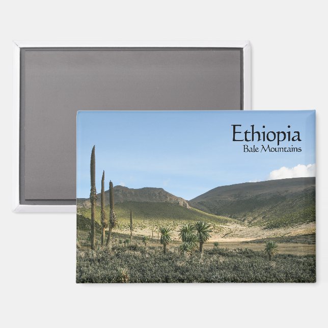 Aimant Bale Mountains Ethiopie (Recto/Verso)