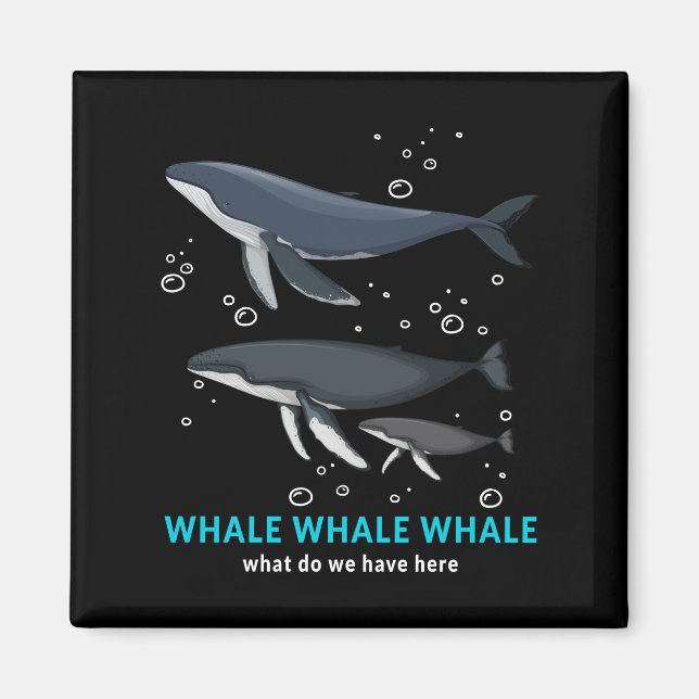 Aimant Baleine À Baleine Qu'avons-nous ici (Devant)