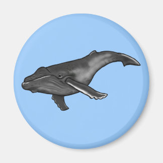 Aimant baleine à bosse