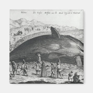 Aimant Baleine morte