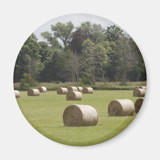 Aimant Bales de foin (Devant)
