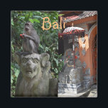 Aimant Bali Indonésie Temple Singe et Statues<br><div class="desc">Aimant de Bali avec deux scènes emblématiques de cette île indonésienne. Un singe est assis au sommet d'une tête de statue dans les jardins du temple et une entrée spa colorée avec une statue emblématique. Un souvenir amusant pour une aventure indonésienne.</div>