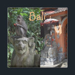 Aimant Bali Indonésie Temple Singe et Statues<br><div class="desc">Aimant de Bali avec deux scènes emblématiques de cette île indonésienne. Un singe est assis au sommet d'une tête de statue dans les jardins du temple et une entrée spa colorée avec une statue emblématique. Un souvenir amusant pour une aventure indonésienne.</div>