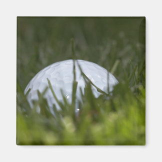Aimant balle de golf cachée