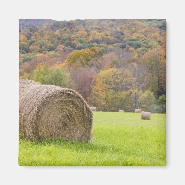 Aimant Balles de foin et feuillage d'automne à la ferme, (Devant)