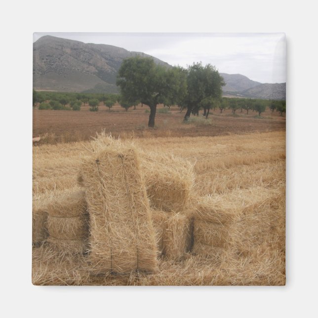 Aimant Balles de paille & Amandiers (Devant)