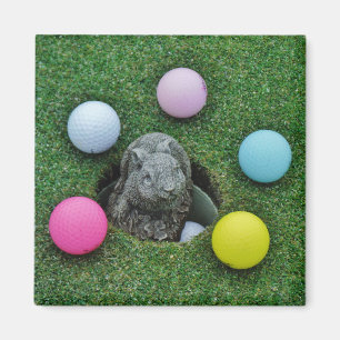 Aimant Ballons de golf de lapin et de couleur