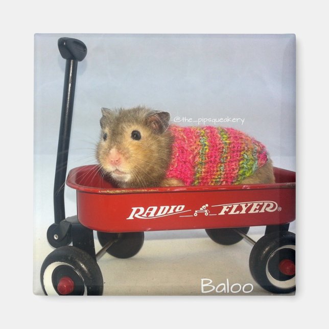Aimant Baloo dans son Wagon rouge (Devant)