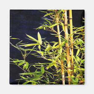 Aimant Bambou Foliage Art Tropical Sur Noir