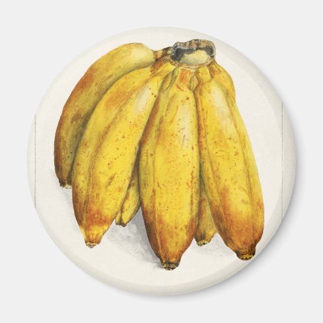 Aimant Banane (Devant)