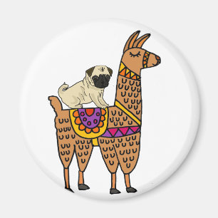 Aimant Bande dessinée drôle de lama d'équitation de ch